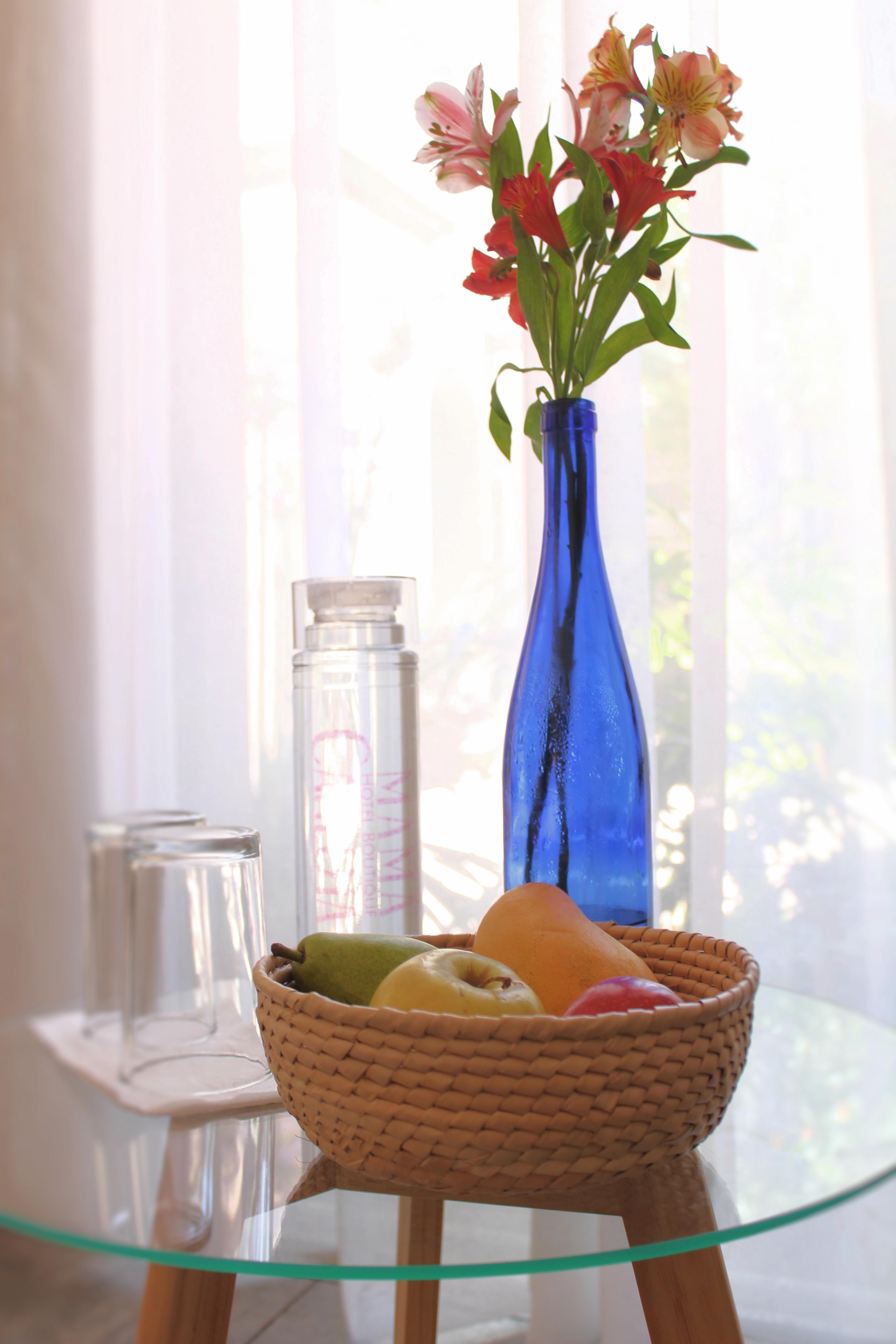 Hotel Mama Carlota Queretaro Ngoại thất bức ảnh